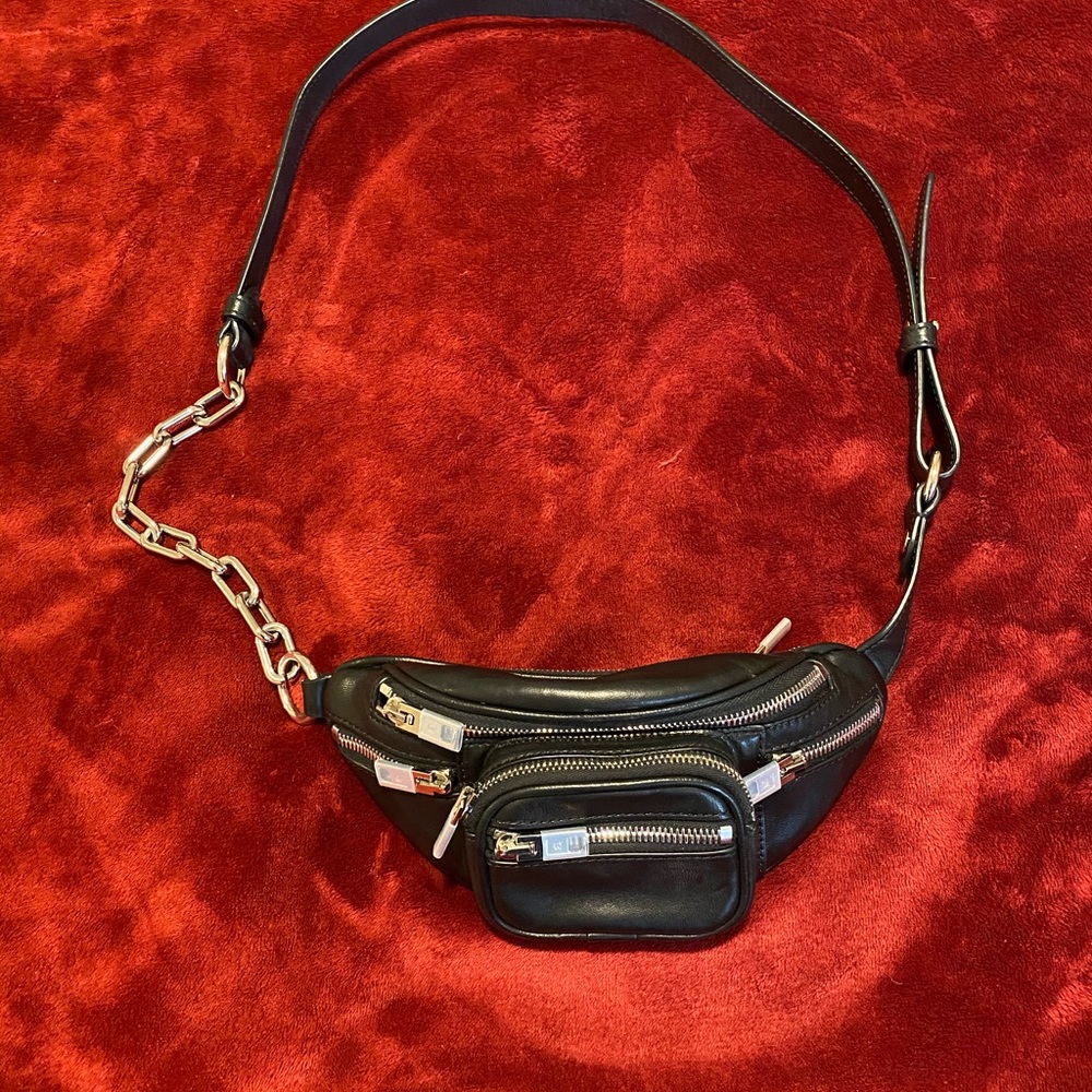 Alexander Wang mini Attica